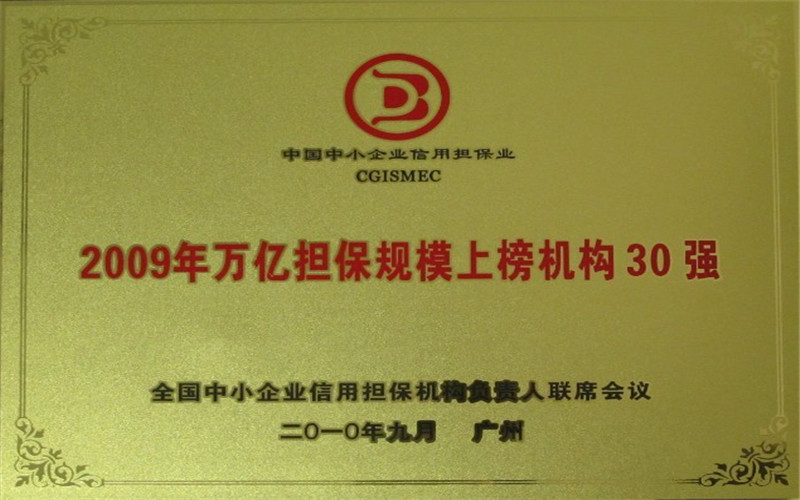 2009年萬億擔(dān)保規(guī)模上榜機(jī)構(gòu)30強 2009年萬億擔(dān)保規(guī)模上榜機(jī)構(gòu)30強