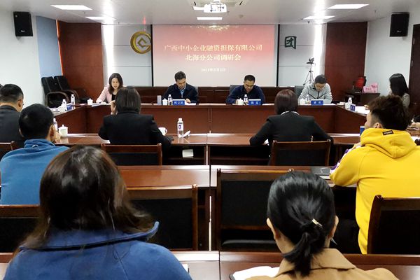 中小擔(dān)保領(lǐng)導(dǎo)赴北海、防城港調(diào)研 