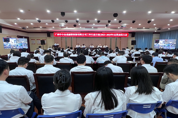 中小擔(dān)保召開(kāi)三年行動(dòng)方案宣貫動(dòng)員大會(huì)