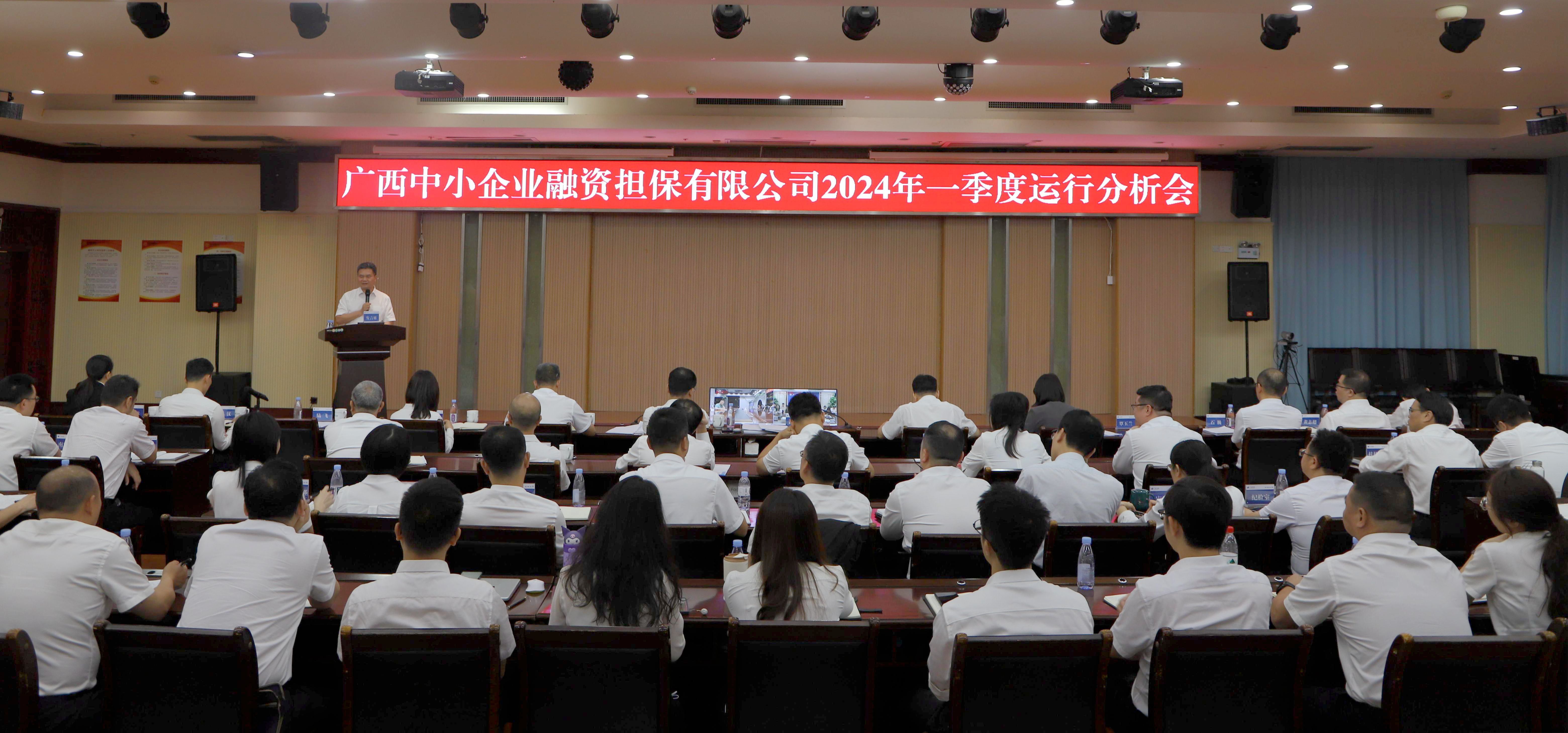 【落實(shí)落細(xì)落地，全力攻堅(jiān)“雙過(guò)半”】中小擔(dān)保召開(kāi)2024年一季度運(yùn)行分析會(huì)